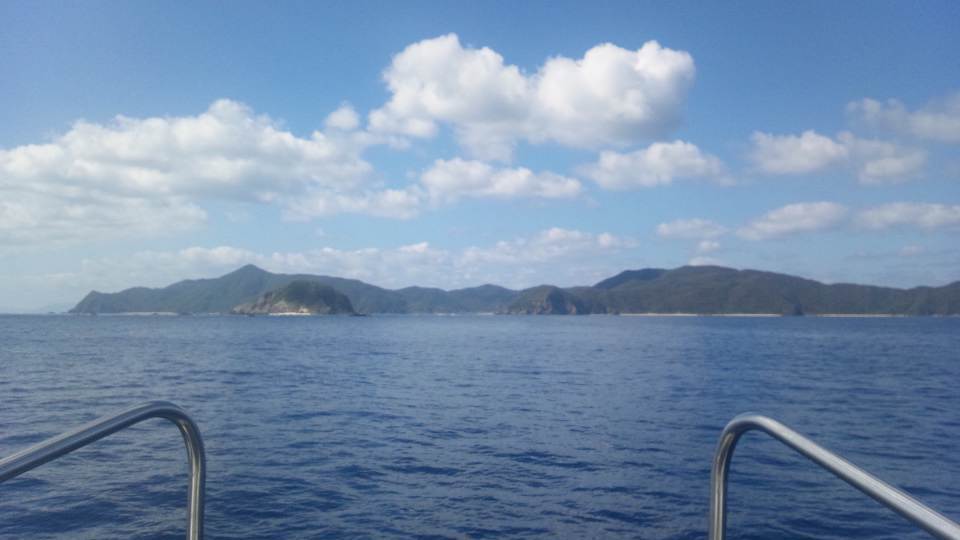 b0115085_784136.jpg