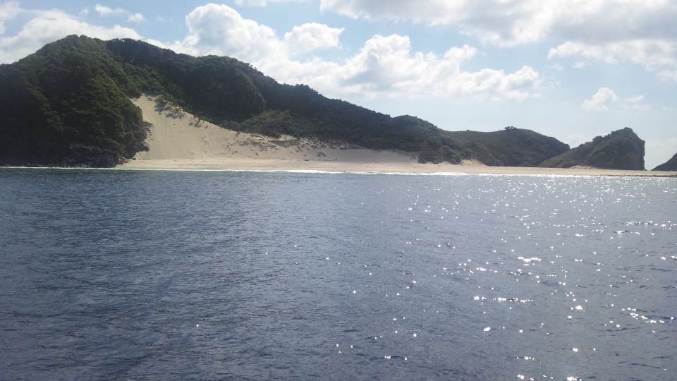 b0115085_784155.jpg