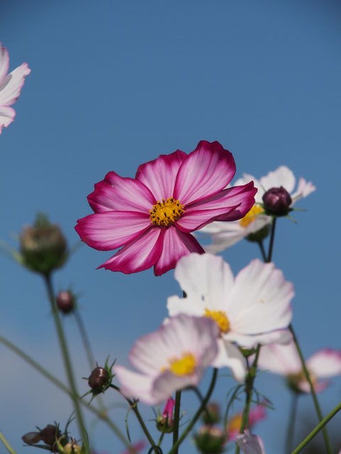 c0000685_18214839.jpg