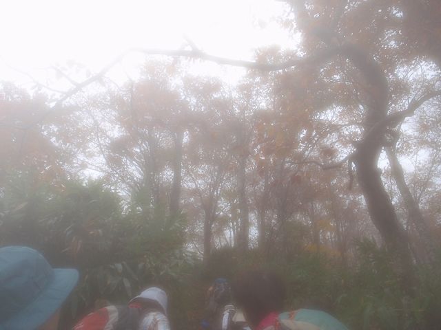 b0108186_23392513.jpg