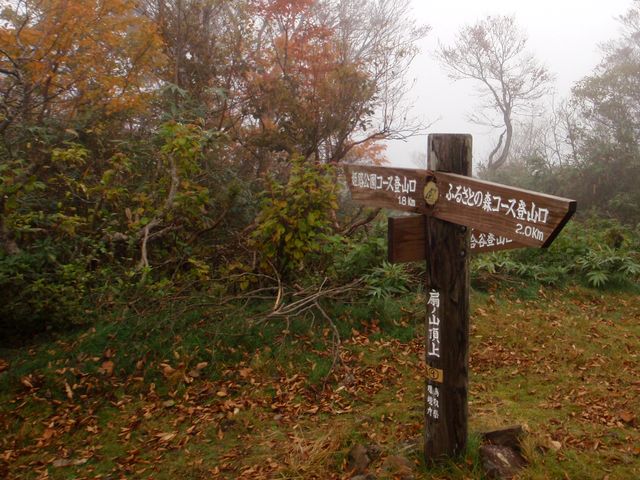 b0108186_23413970.jpg