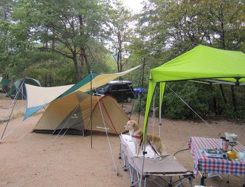 c0196992_15251486.jpg