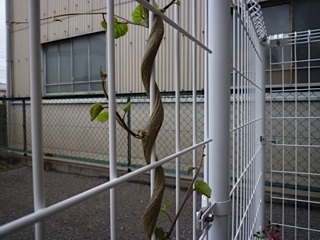 d0017894_7251314.jpg