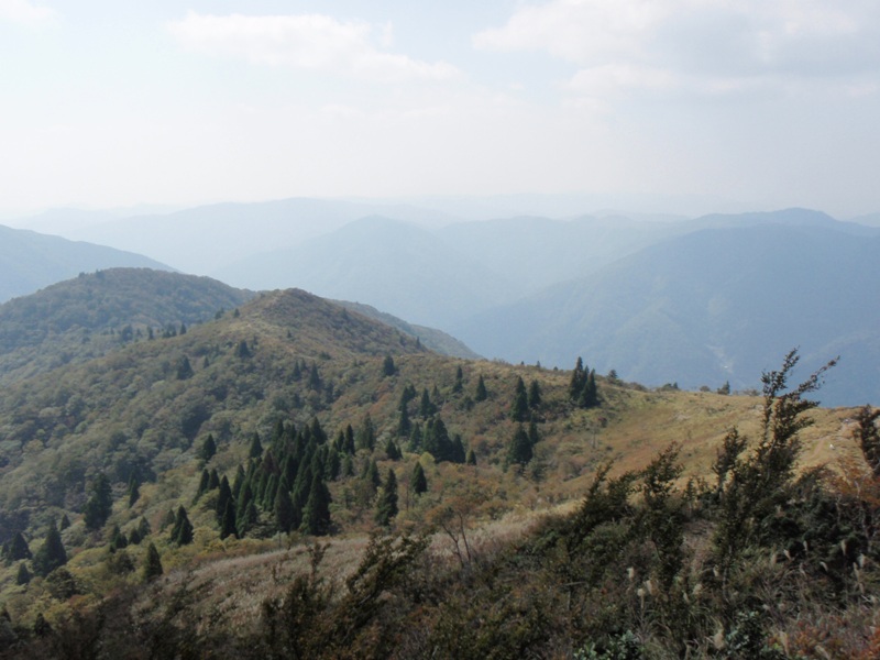 b0039898_21113063.jpg