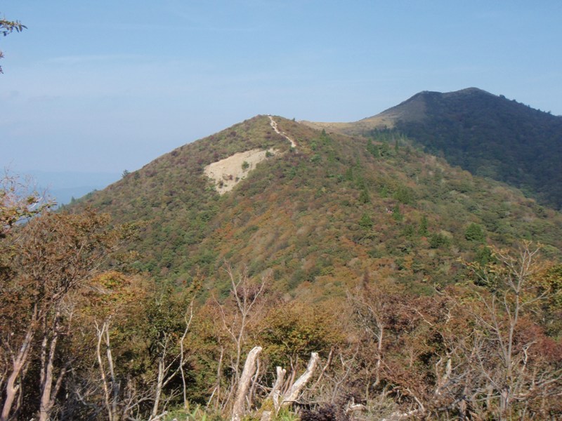b0039898_21121115.jpg