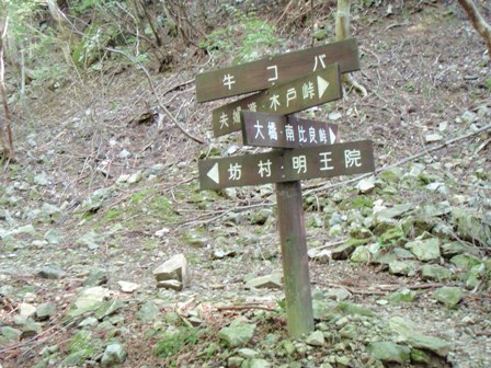 b0039898_2154529.jpg