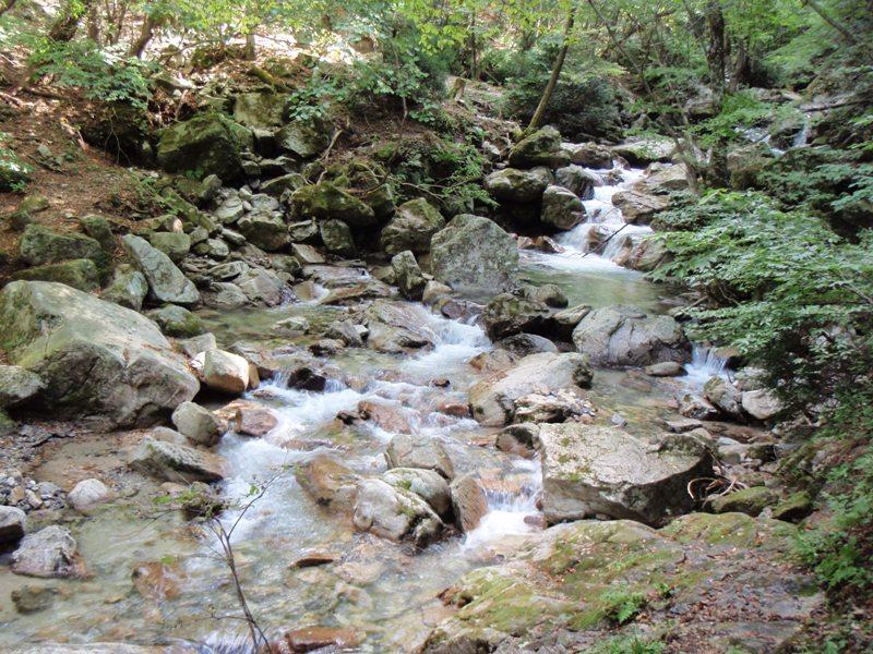 b0039898_2155680.jpg