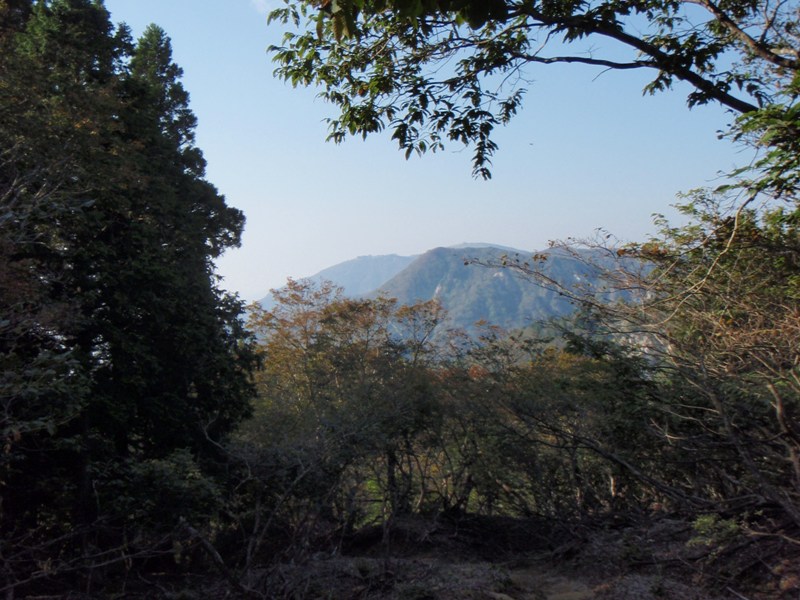 b0039898_2184622.jpg