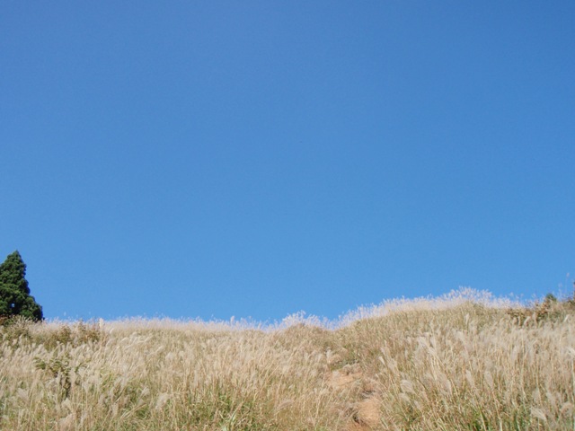b0039898_2191642.jpg