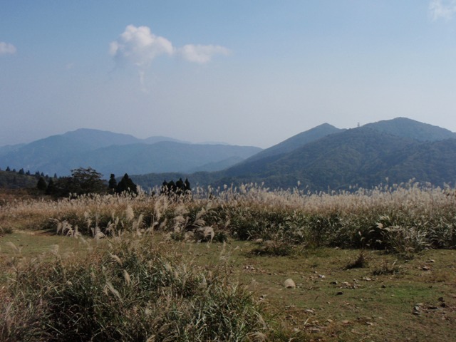 b0039898_2192912.jpg