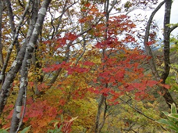 c0187298_2225322.jpg