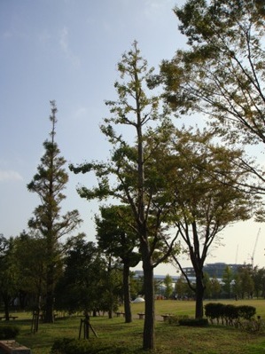 a0167803_1327613.jpg