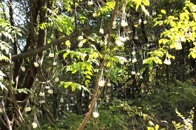 c0202705_17441085.jpg