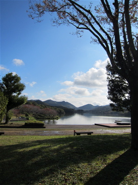c0145209_1241737.jpg