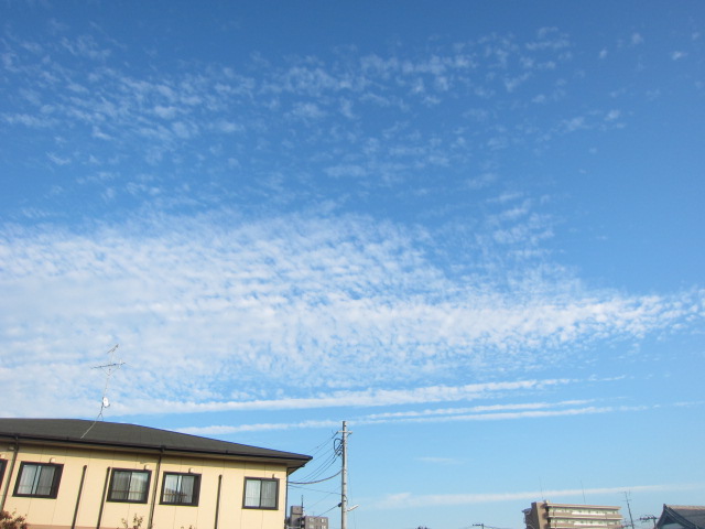 d0150309_2075492.jpg