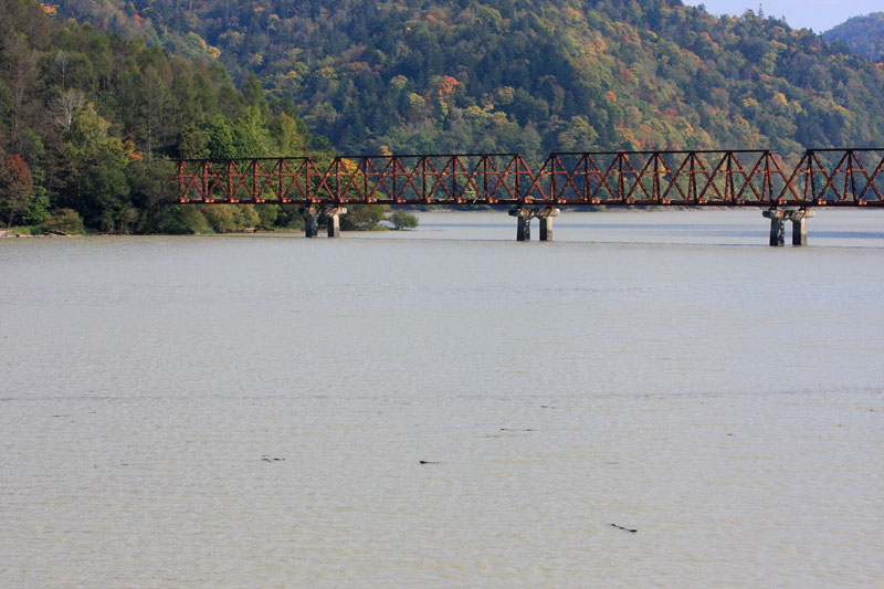 e0235910_2126178.jpg