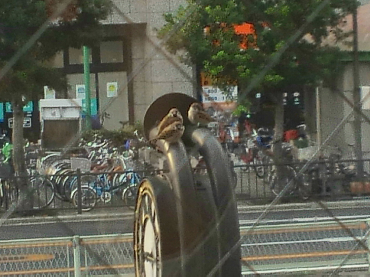 f0127610_15332394.jpg