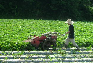 f0031420_8243728.jpg