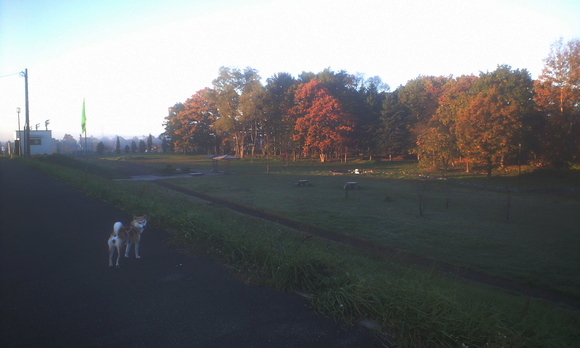 e0227023_23121284.jpg
