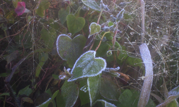e0227023_231337100.jpg