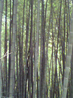f0036223_11304096.jpg