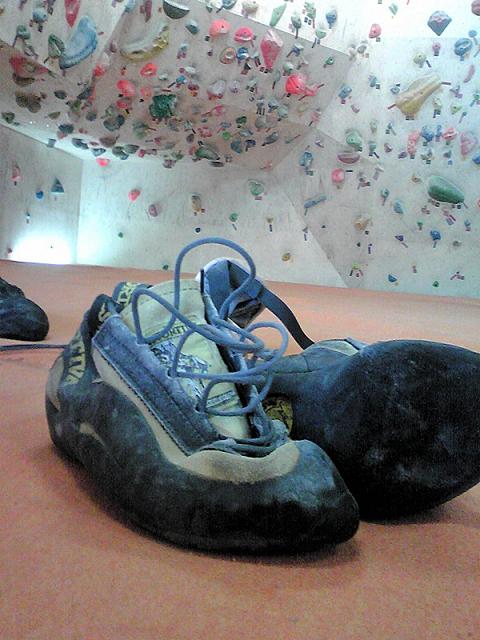 f0050226_814926.jpg