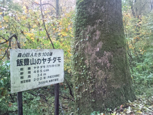 e0016828_11311717.jpg