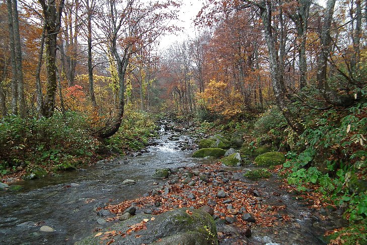 f0118332_23425140.jpg