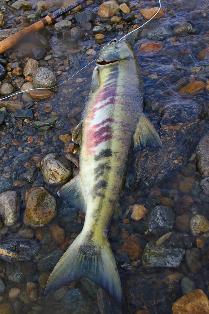 e0150433_15272680.jpg