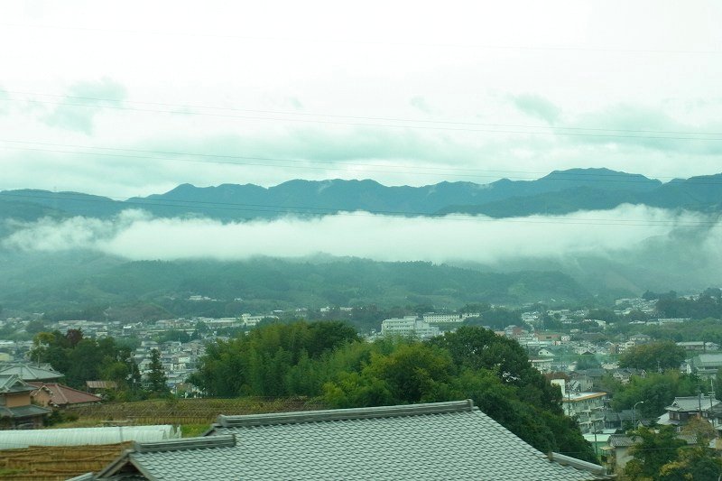 a0017634_875281.jpg