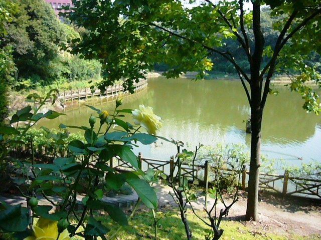 e0133535_20241627.jpg