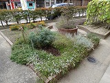 f0167635_5405456.jpg