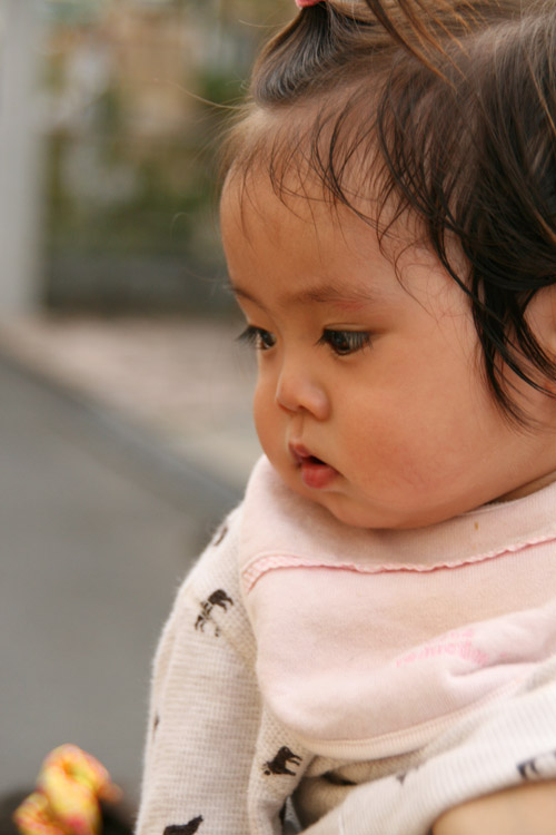 d0238538_2065080.jpg