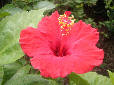 a0054240_20494112.jpg