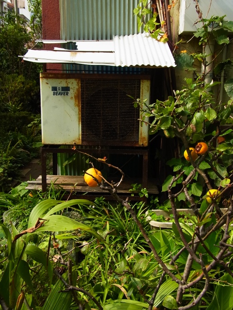 a0087341_22232679.jpg