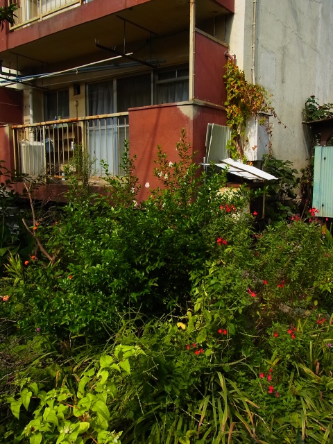 a0087341_2224059.jpg