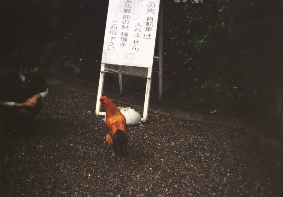d0089742_042990.jpg