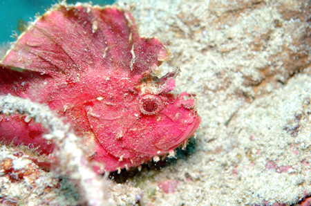 f0014842_19202265.jpg