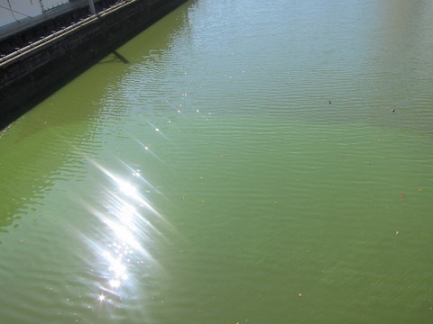 e0018143_1174287.jpg