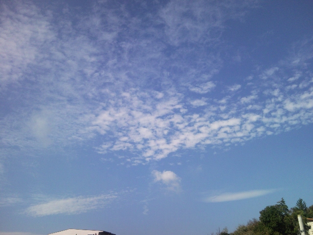 e0150843_21341668.jpg