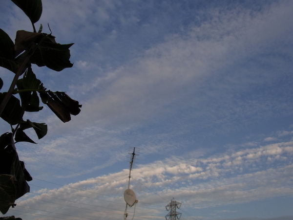 a0175545_16573859.jpg