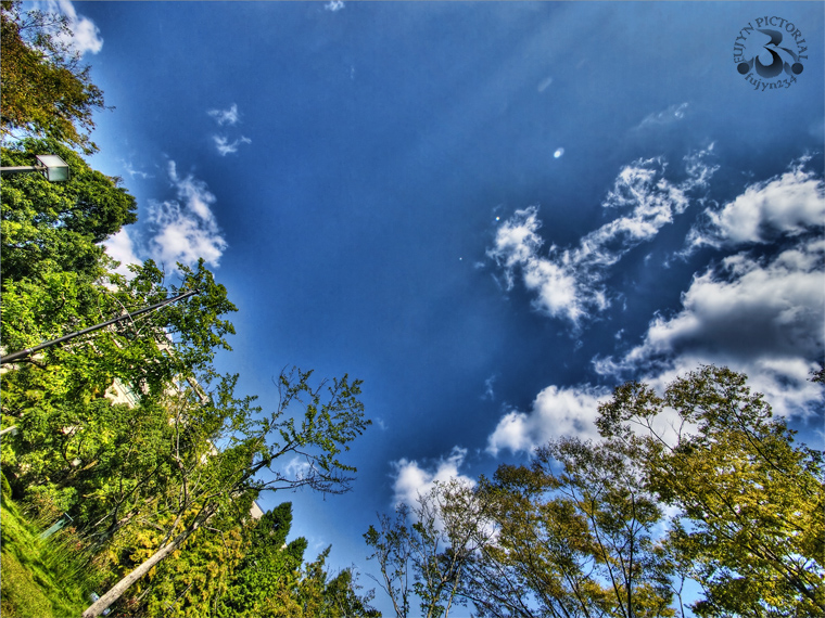 b0135347_233611.jpg