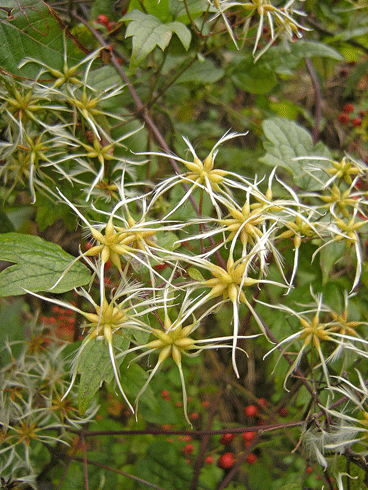 a0001354_2210190.gif