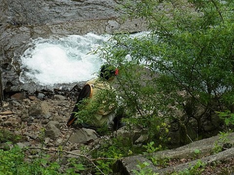 a0056654_18345281.jpg