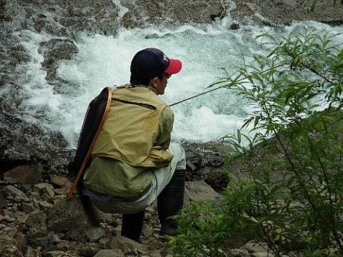 a0056654_183597.jpg