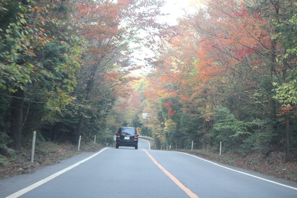 b0216456_20114550.jpg