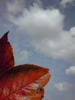 f0043559_15243364.jpg