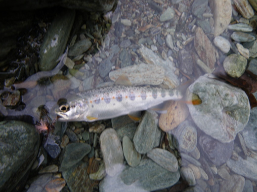 b0211960_0243827.jpg