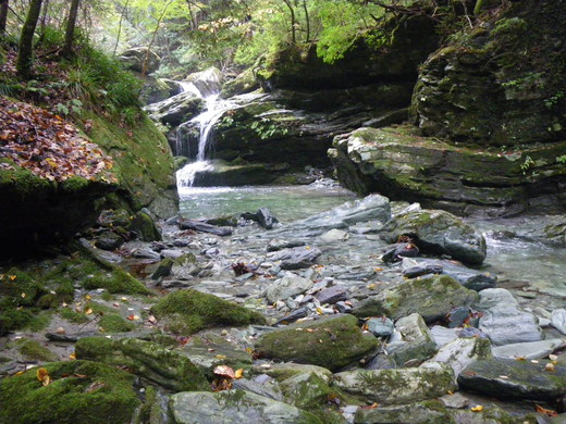 b0211960_025680.jpg