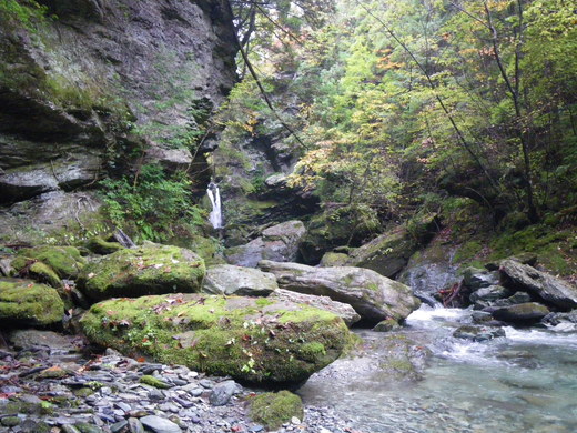 b0211960_224422.jpg
